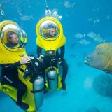 ✨Scooby Doo Diving Experience