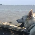 Old Town Alexandria Waterfront Park