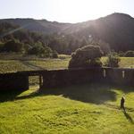 Jack London State Historic Park