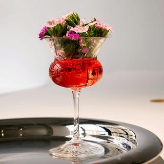 Bloom Nick & Nora Glass, Set of 6