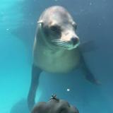 Long Island Aquarium