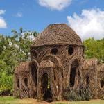 Mounts Botanical Garden