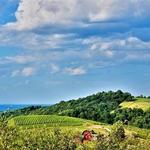 Carter Mountain Orchard and Country Store