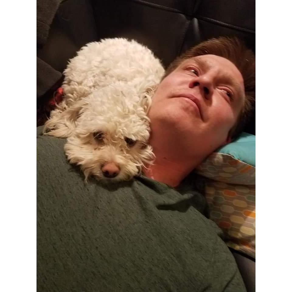 Dunkin was supposed to be Ashley's dog, but he instantly fell in love with Marco