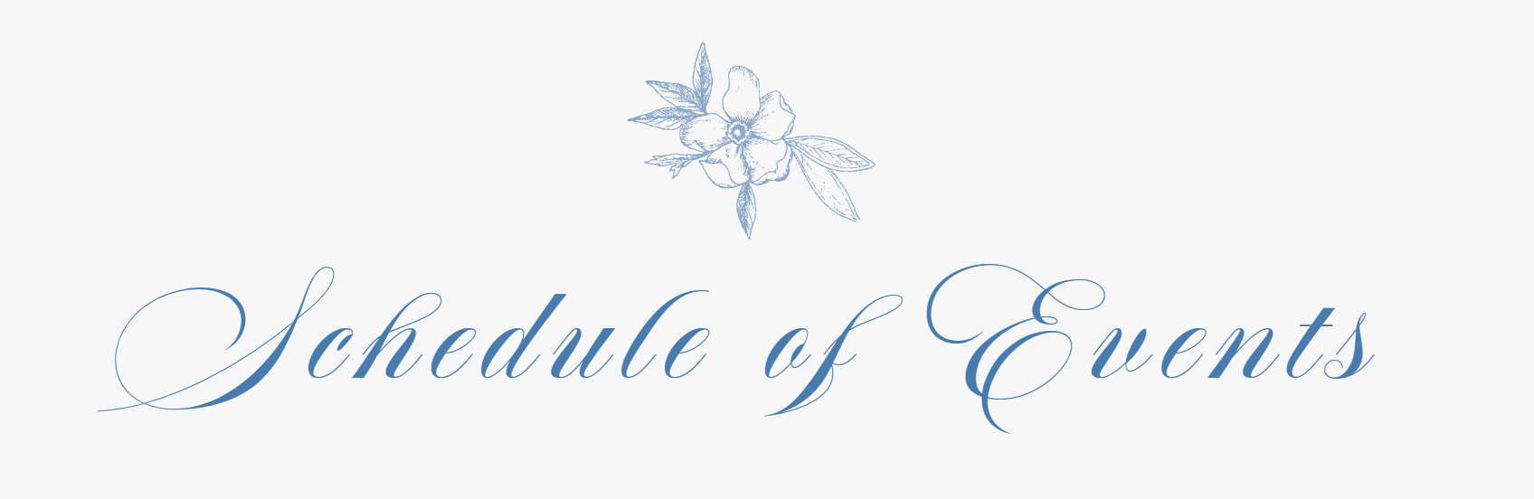 The Wedding Website of Shannon McCain and Ricardo Rodrigues