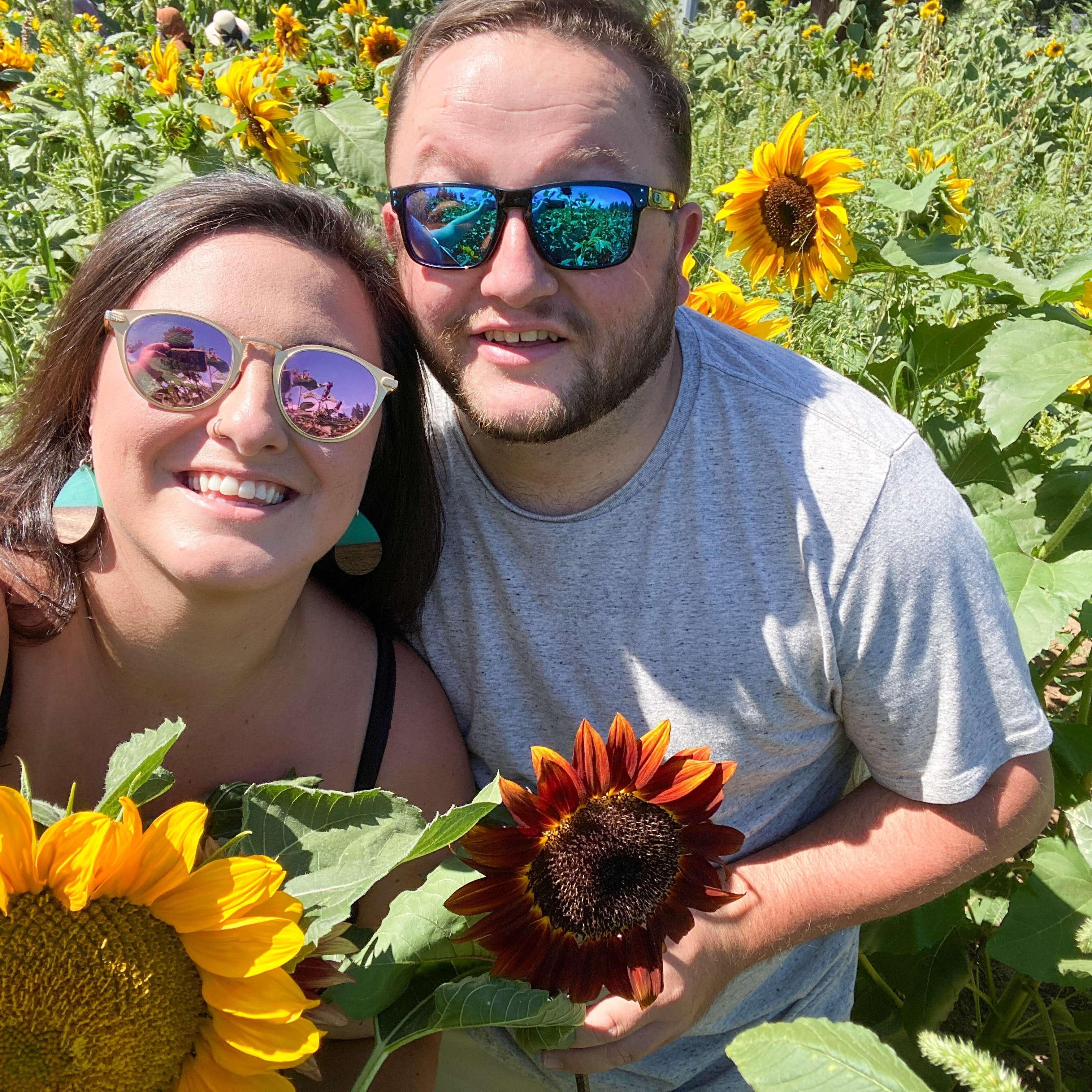 August 23, 2020. Lee's Farm Sunflower Festival.