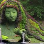 Atlanta Botanical Garden
