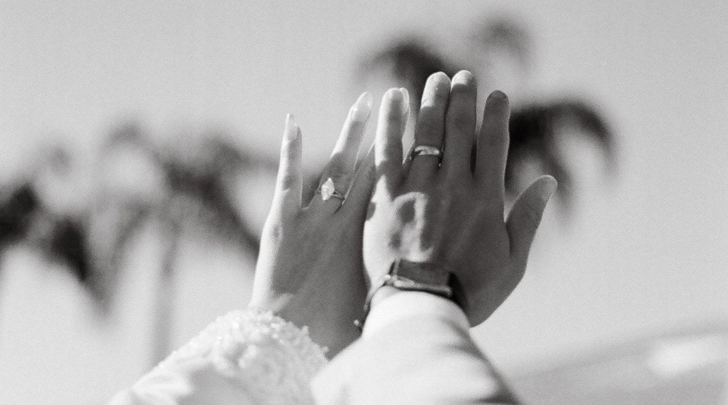 The Wedding Website of Amirah Salem and Ahmed Saad