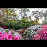 Glencairn Garden
