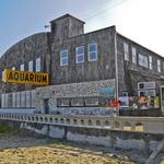 Seaside Aquarium
