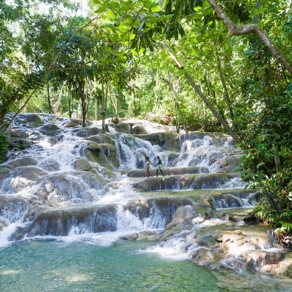 Dolphin Encounter and Dunn's River Falls Experience