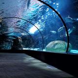 Oklahoma Aquarium