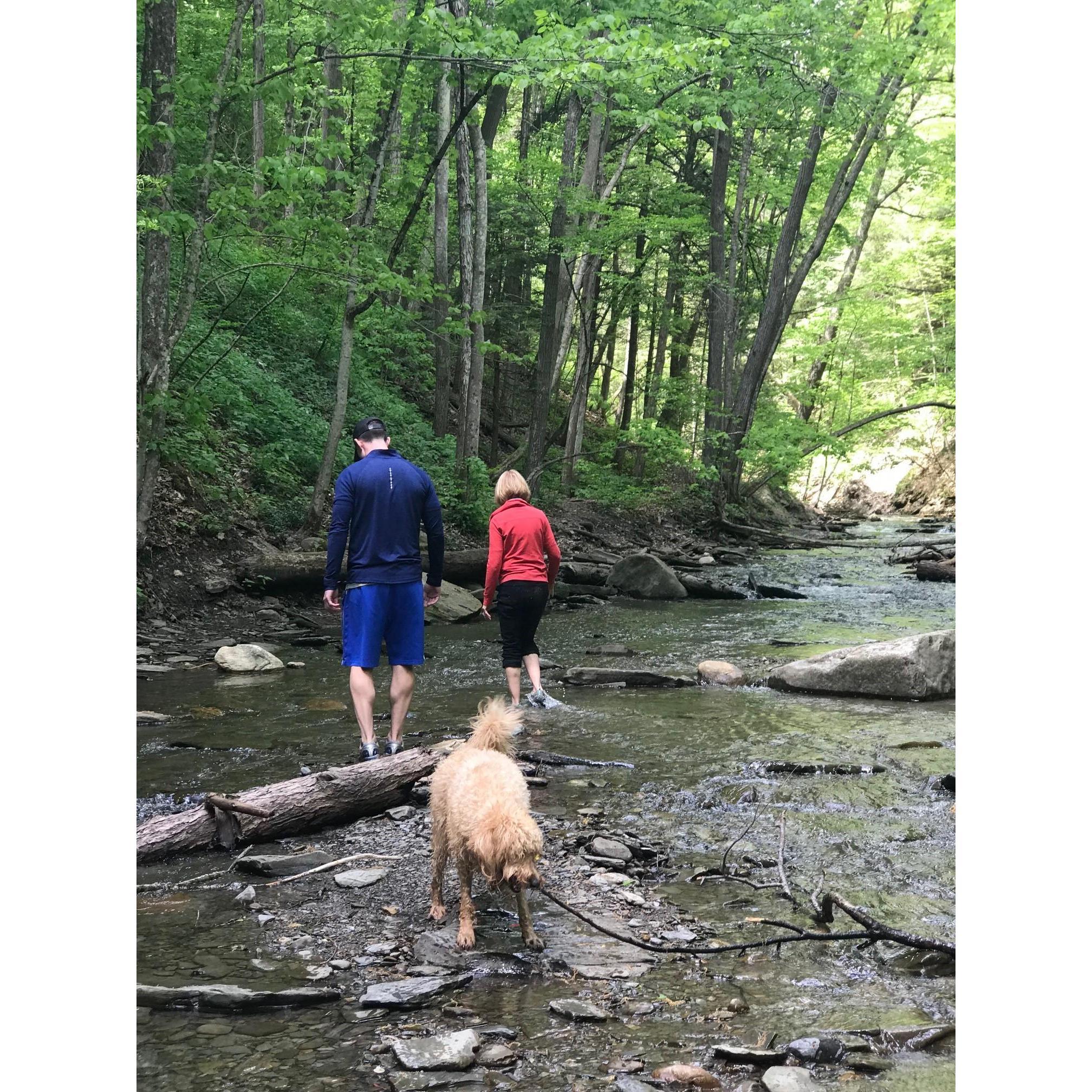 Brian, Shelby and Waffles walking through the creek during Grimes Glenn hike