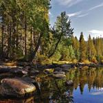 Sam Houston National Forest