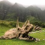 Kualoa Ranch
