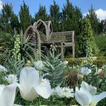 Sarah P. Duke Gardens