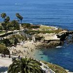 La Jolla Cove, Shores & Beach