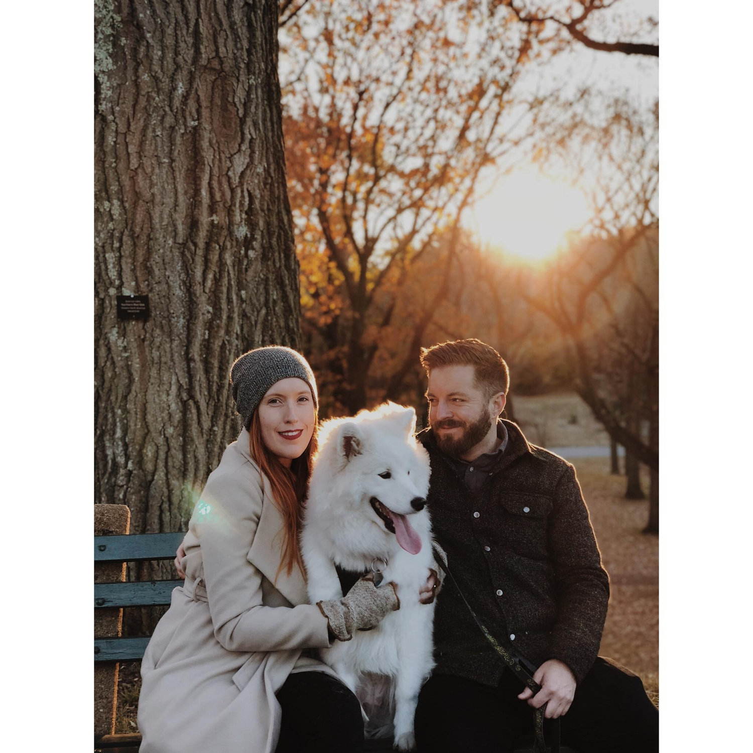 Thankgiving 2017 at Harvard's Arnold Arboretum (that iPhone X portrait mode doe)