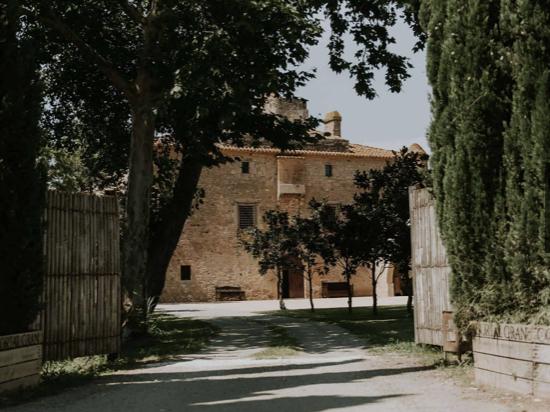 The Wedding Website of Massa Zantah and Eduardo Dominguez
