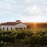 Danza del Sol Winery