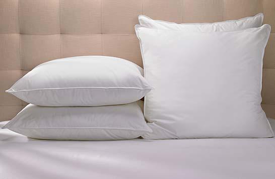 Marriott                     Euro Pillow