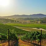 Temecula