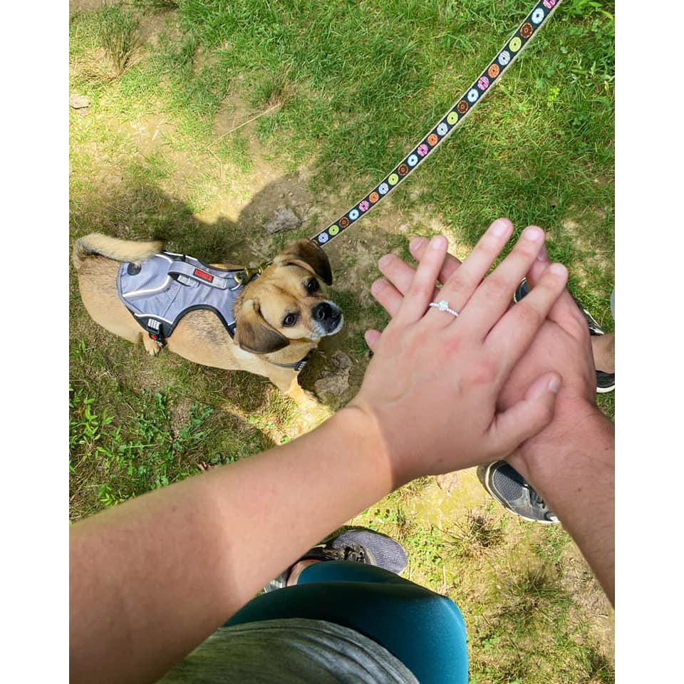 The day we got engaged, together as a family.