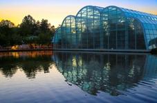 The Butterfly House