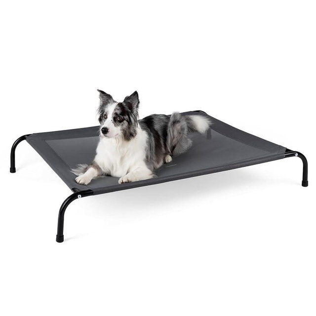 SIEMOUR Cooling Elevated Dog Bed for Extra Large Dogs with Non-Slip Floor Protectors & Breathable Mesh, XL Raised Indoor & Outdoor Dog Cot Hammock, 54" L x 35" W x 8" Th, X-Large, Grey