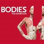 Bodies | The Exhibition