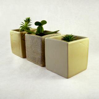 Ceramic Small Garden Trio Pots