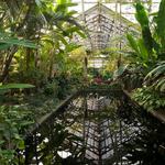 Garfield Park Conservatory
