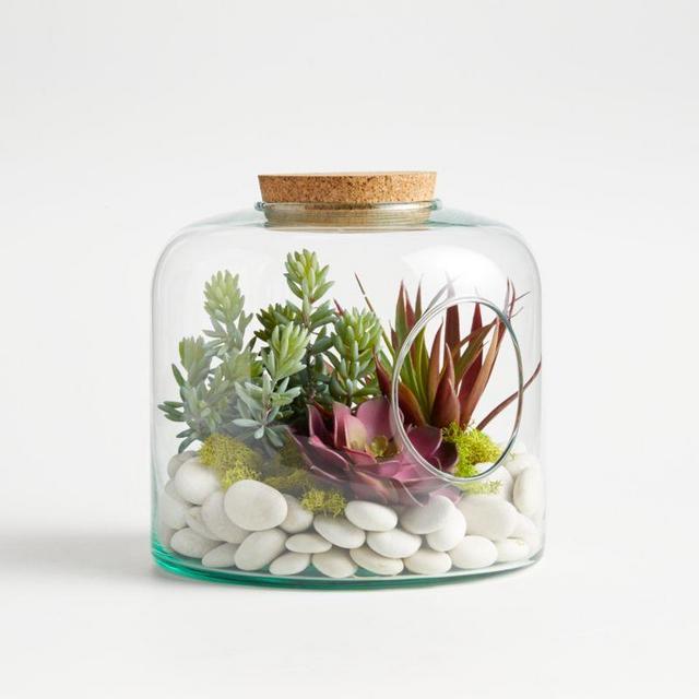 Short Glass Terrarium with Cork Lid Arrangement