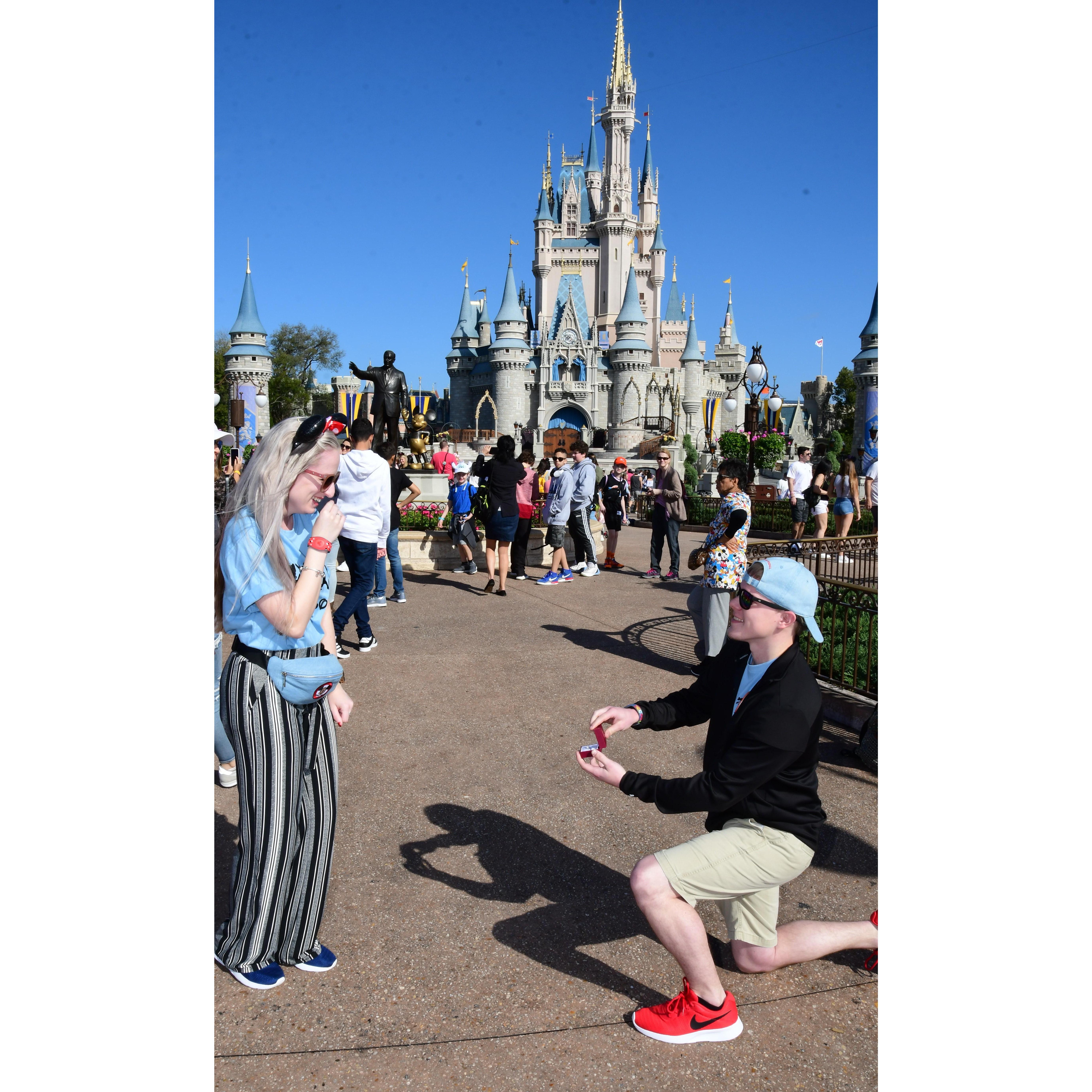 Truly the Most Magical Place on Earth at this moment!