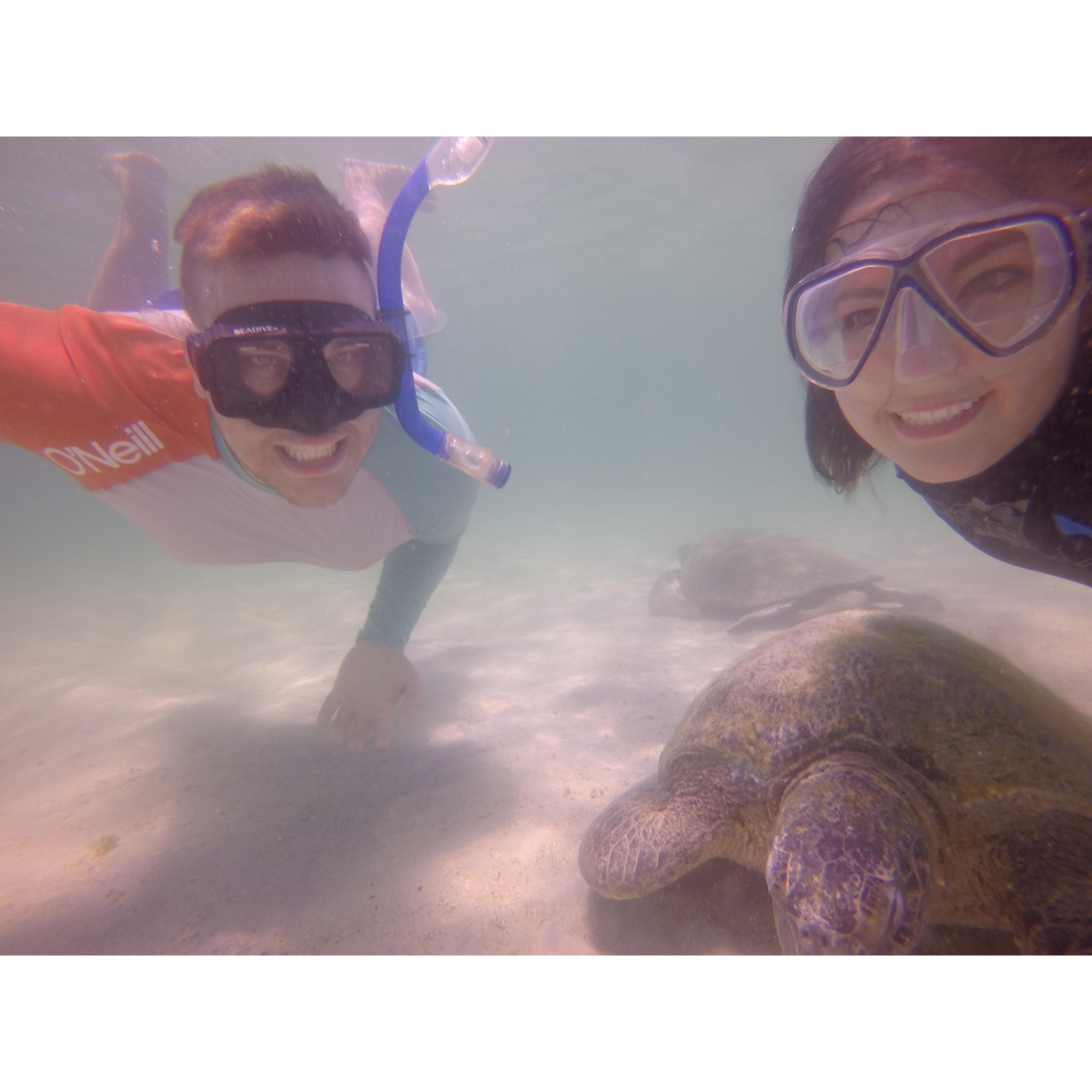 March 2016: Galapagos Islands, Ecuador, South America.

Marzec 2016: Wyspy Galapagos, Ekwador, Ameryka Południowa.