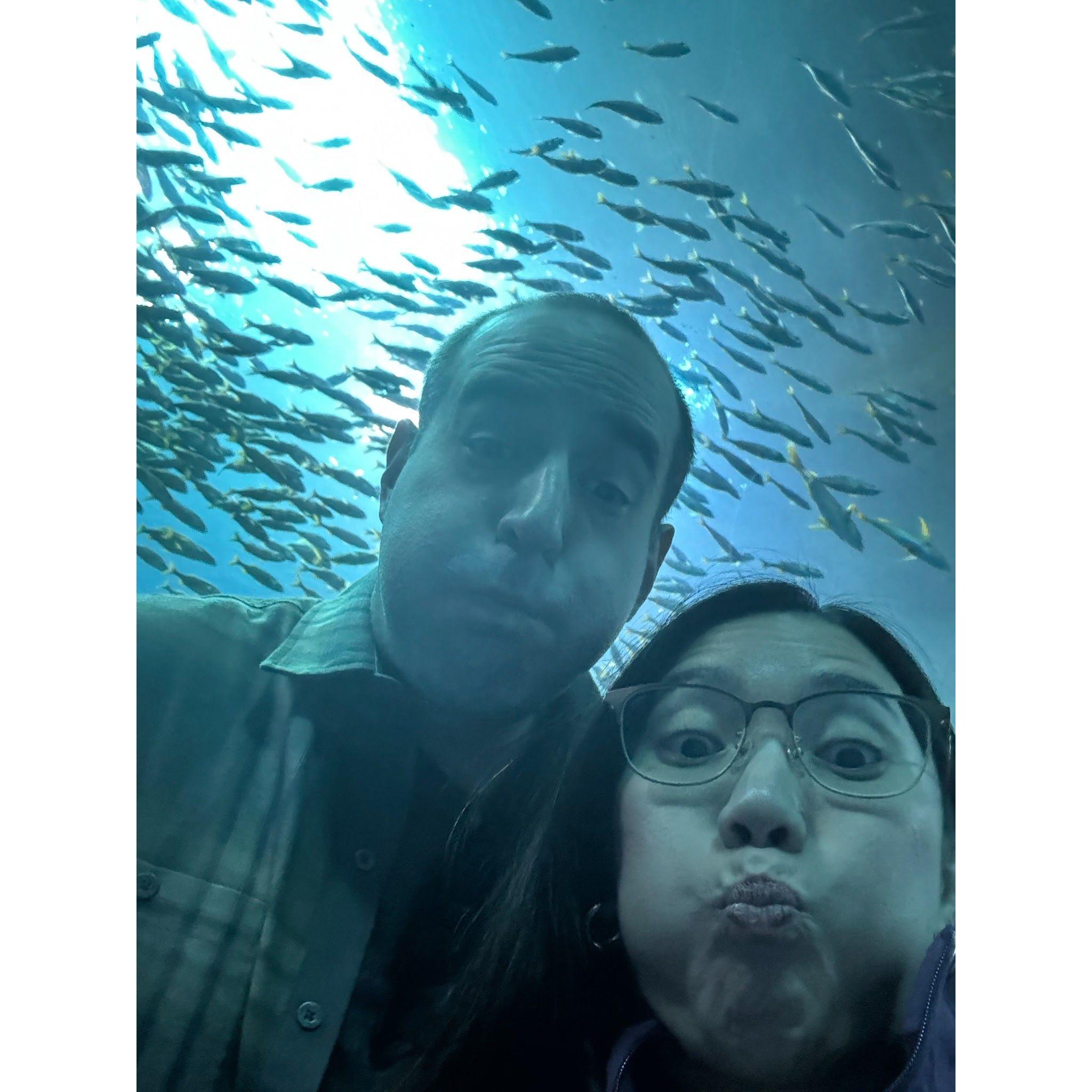 Drowning in a sea of love with my Mei Fish