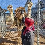 Lion Habitat Ranch inc