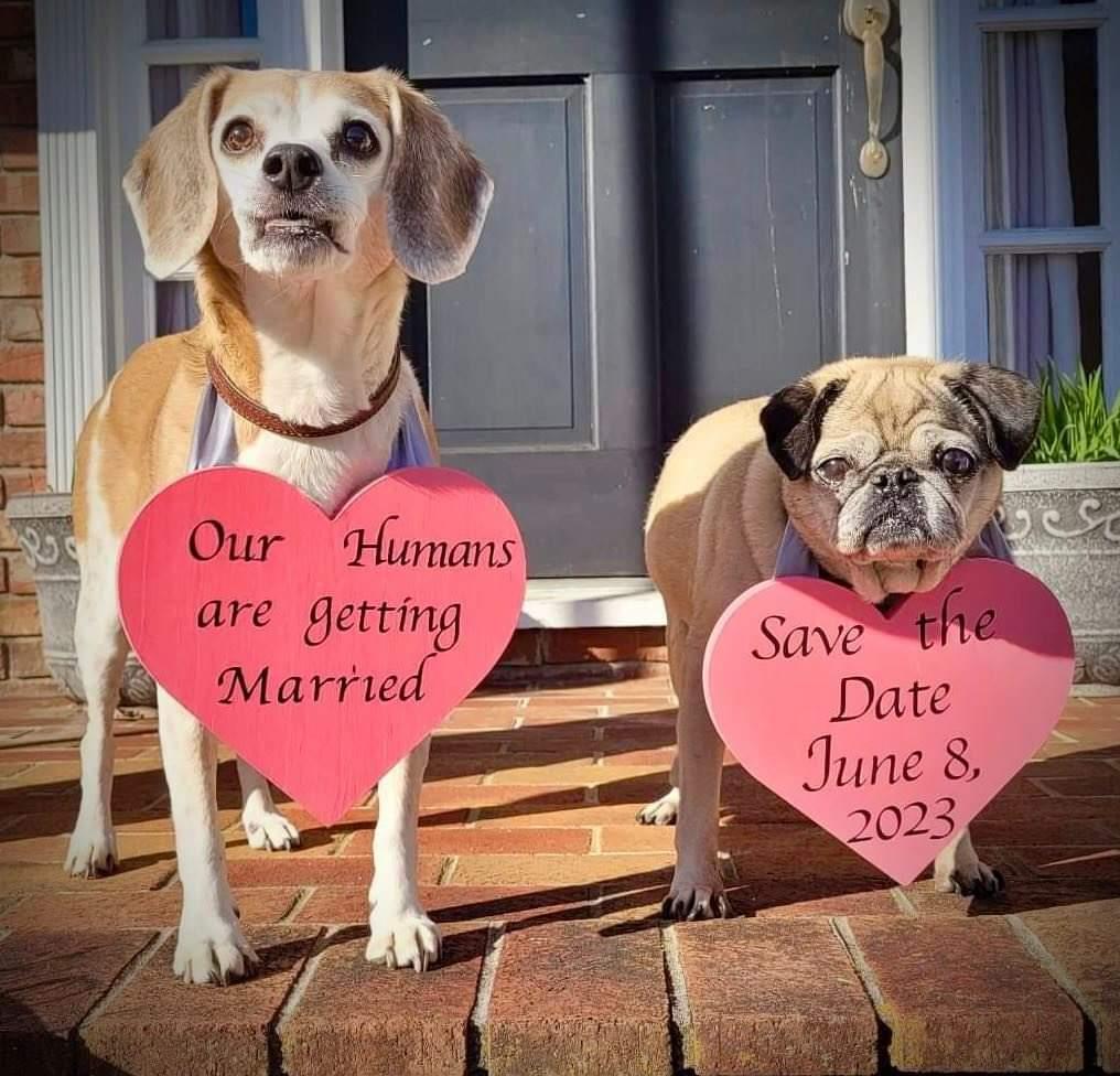 The Wedding Website of Lisa Livesay and Joseph Livesay