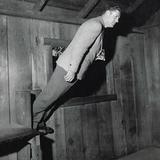 The Mystery Spot