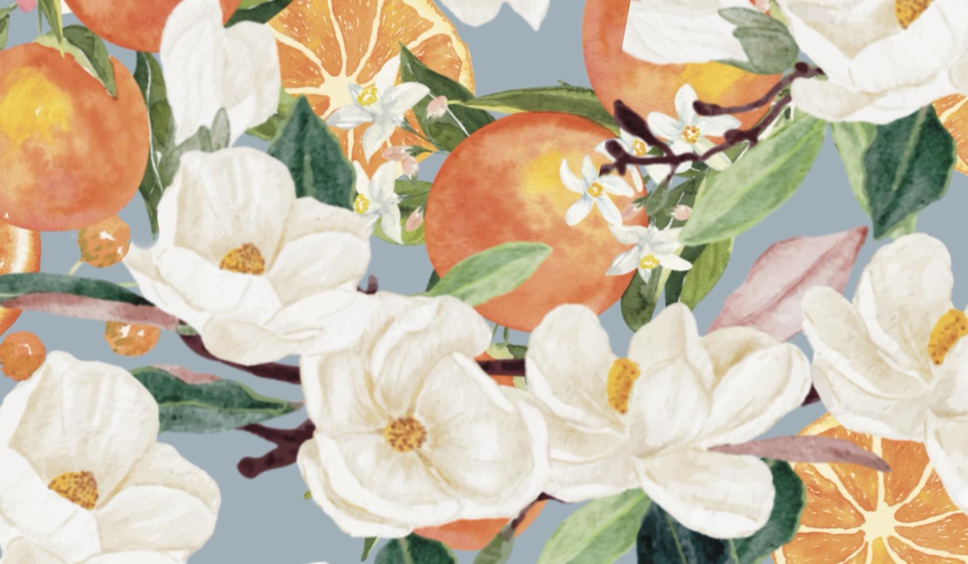 27fb7c6e-26cb-4c58-b397-e5dd25a95917