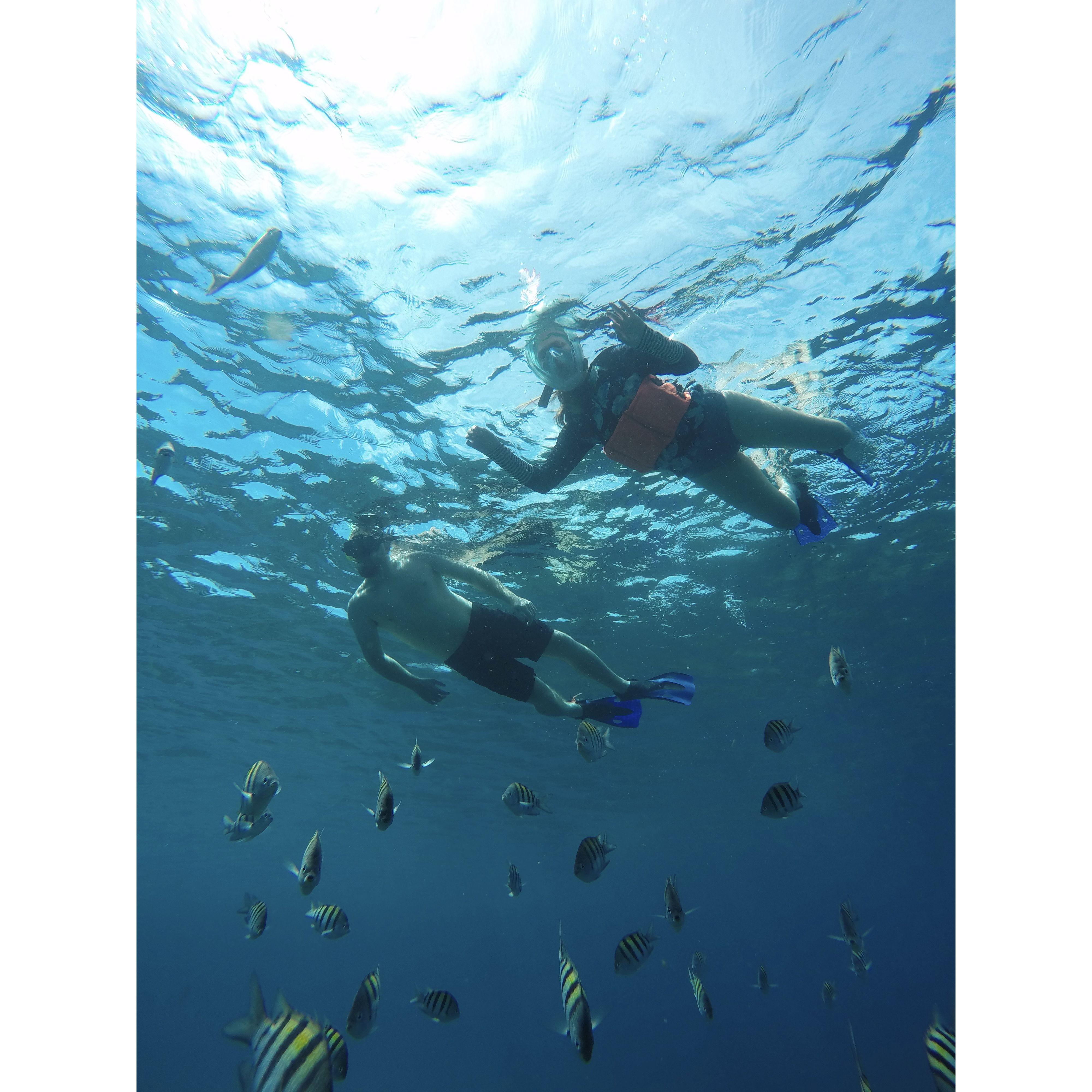 Cozumel, Mexico
