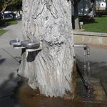 The Stump