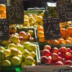 St. Petersburg Saturday Morning Market