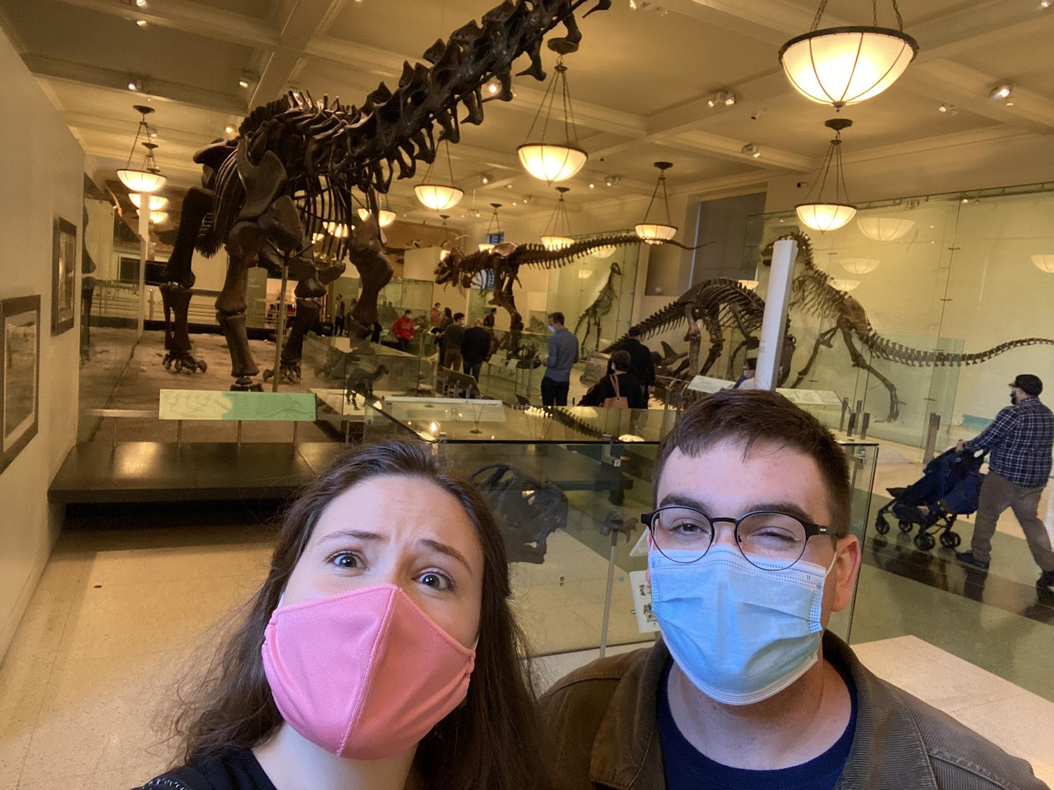 natural history museum shenanigans