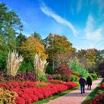 Longwood Gardens