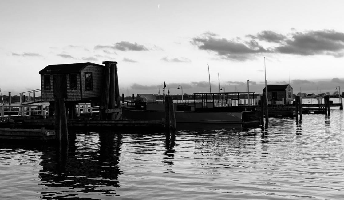 The Wedding Website of steve joubert and catherine thompson