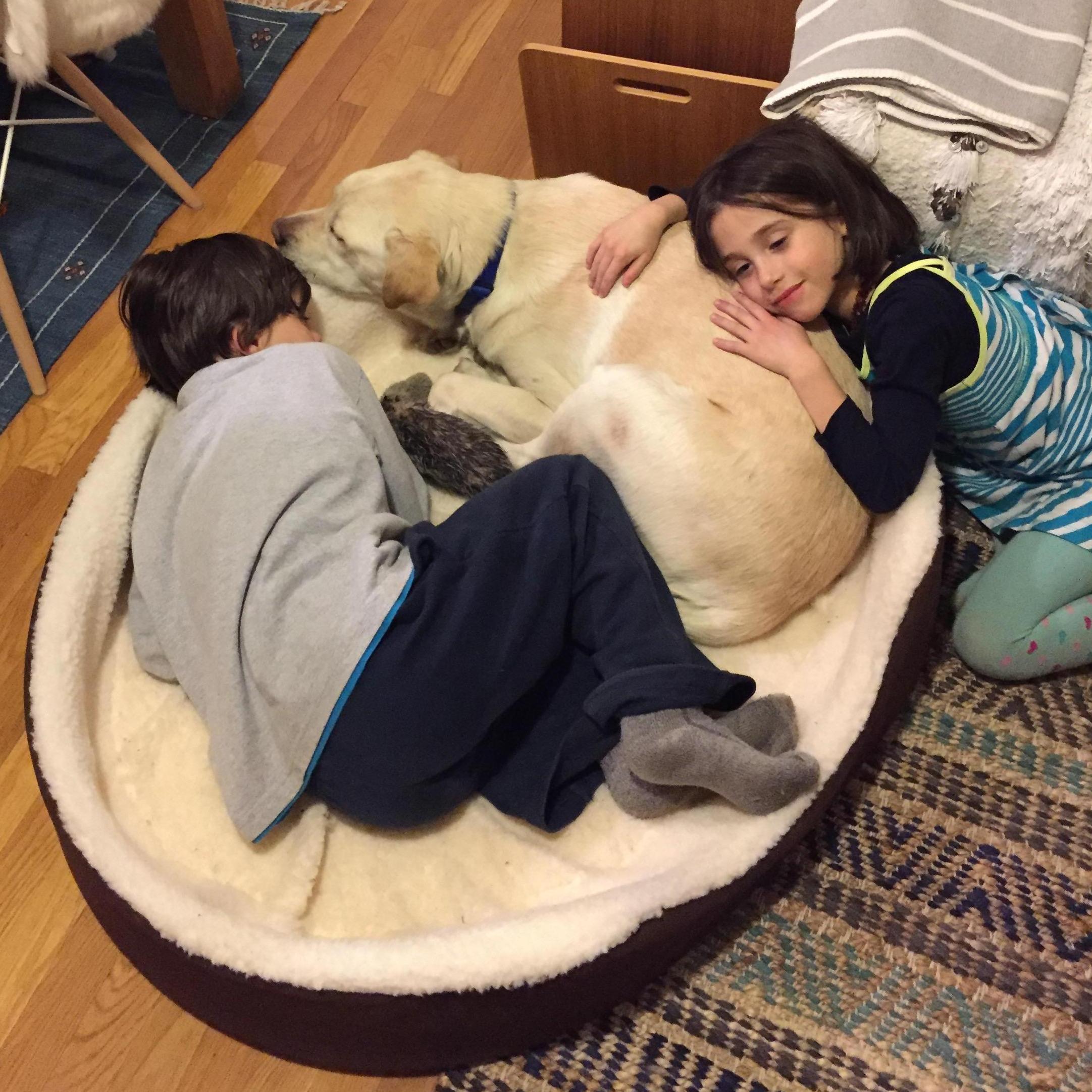 Still taking care of his peeps