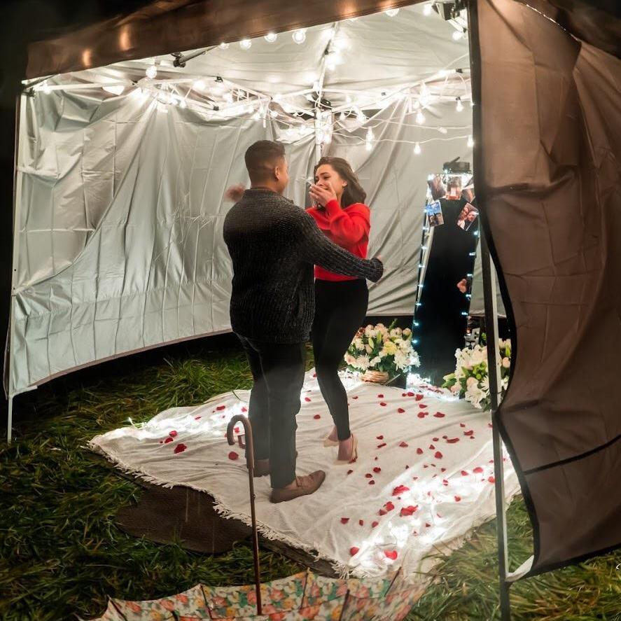 The proposal, moment 4.