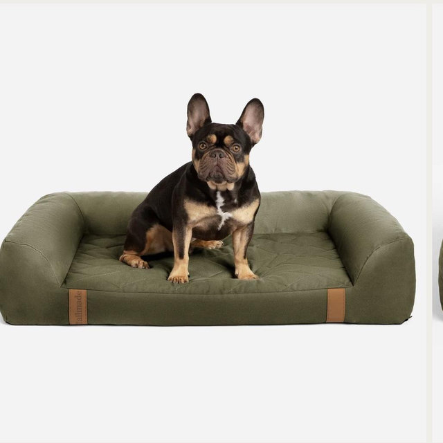 Orvis Memory Foam Lounger Dog Bed