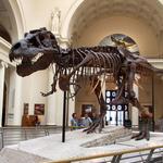 Field Museum of Natural History